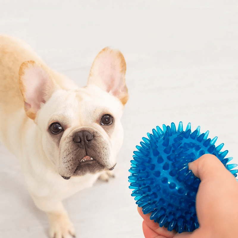 Balle pour Chien - BiteResistantBall™ - Bleu - Au Palace du chien