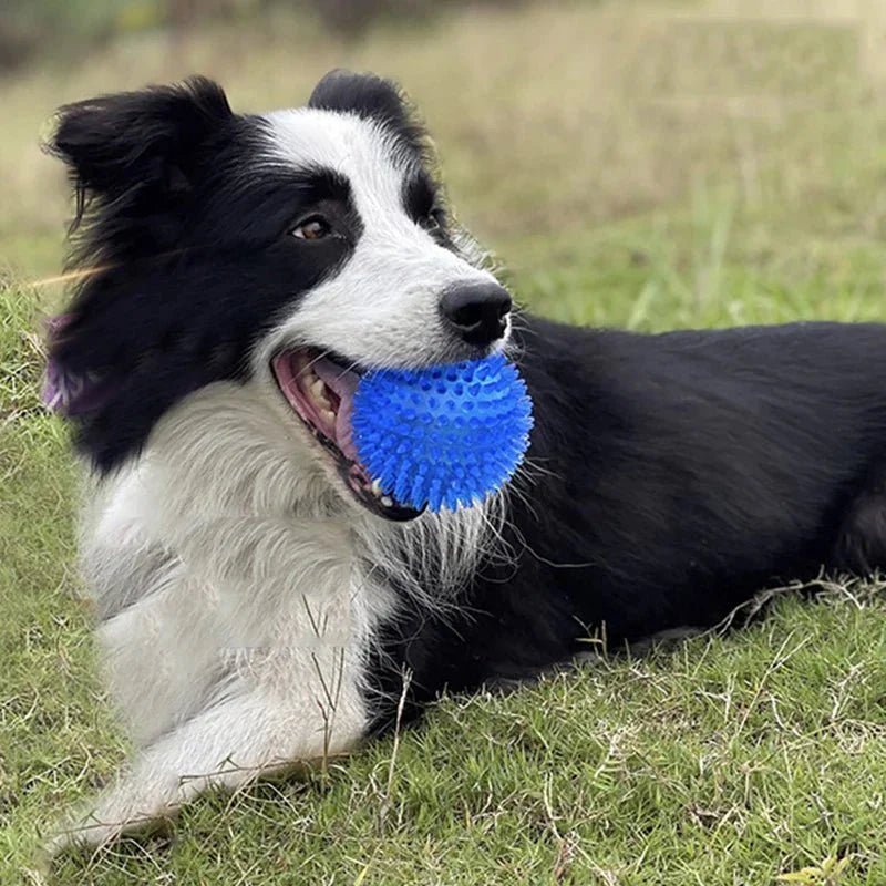 Balle pour Chien - BiteResistantBall™ - Bleu - Au Palace du chien