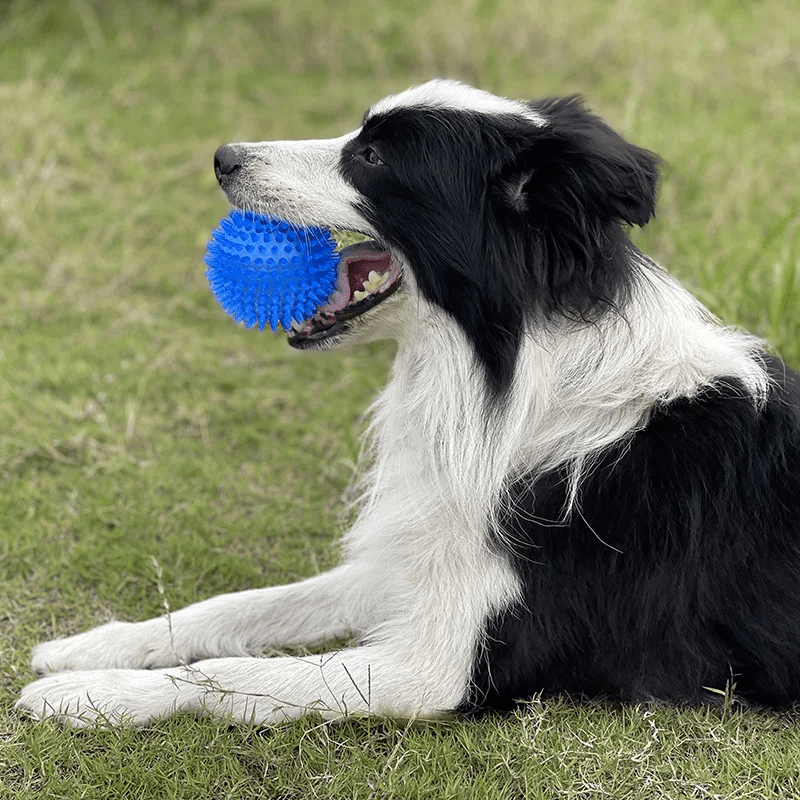 Balle pour Chien - BiteResistantBall™ - Bleu - Au Palace du chien