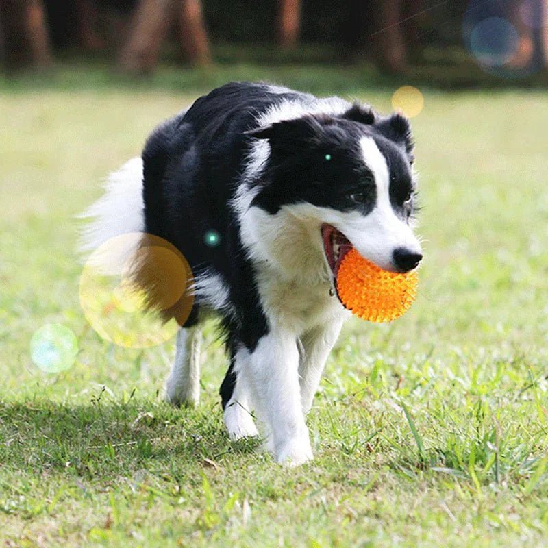 Balle pour Chien - BiteResistantBall™ - Orange - Au Palace du chien