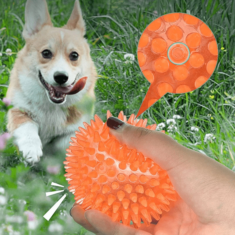 Balle pour Chien - BiteResistantBall™ - Orange - Au Palace du chien