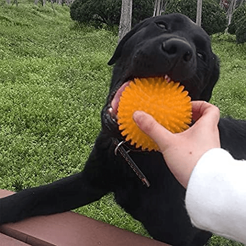 Balle pour Chien - BiteResistantBall™ - Orange - Au Palace du chien