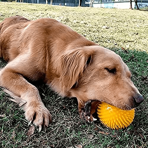 Balle pour Chien - BiteResistantBall™ - Orange - Au Palace du chien