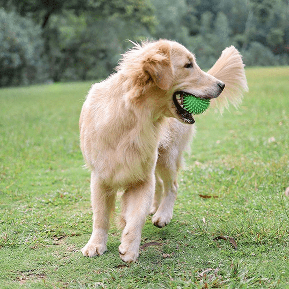 Balle pour Chien - BiteResistantBall™ - Vert - Au Palace du chien