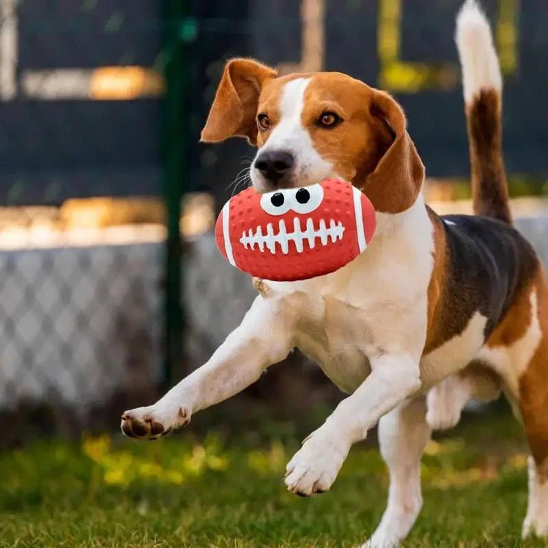 Balle pour Chien - DogBallLatex™ - Rugby Rouge - Au Palace du chien