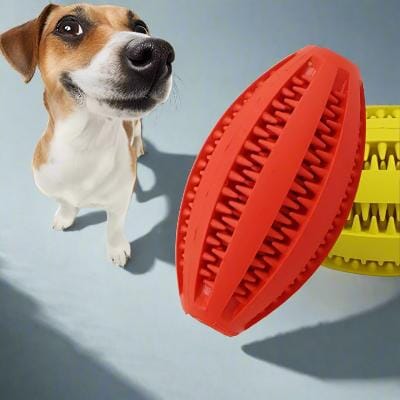 Jouet Interactif pour Chien - ChewBounceBall™ - Rouge - Au Palace du chien